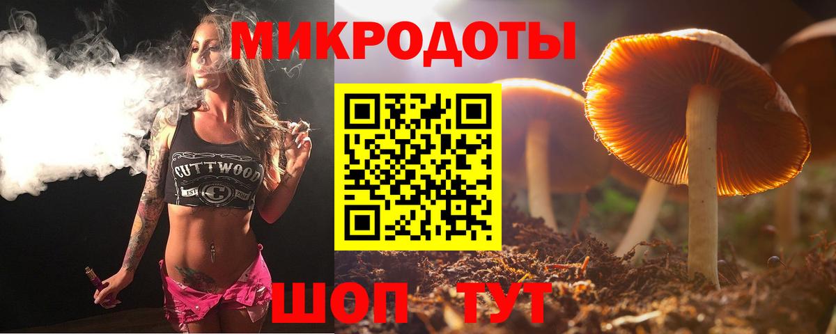Псилоцибиновые грибы прущие грибы  Вход с VPN  Алатырь 